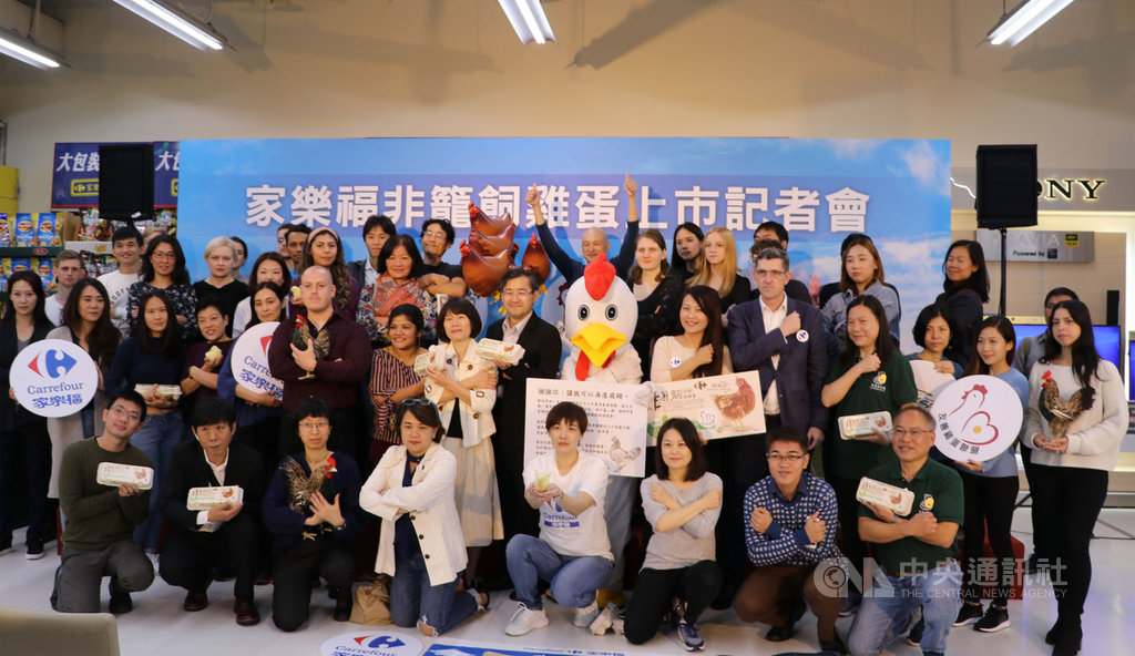 台灣動物社會研究會指出,歐盟已於2012年廢止格子籠飼養蛋雞,動社2018年也與台灣通路業者合作設立非籠飼蛋專區銷售,21日通路業者正式推出自有品牌非籠飼雞蛋。(家樂福提供)中央社記者楊淑閔傳真 108年11月21日