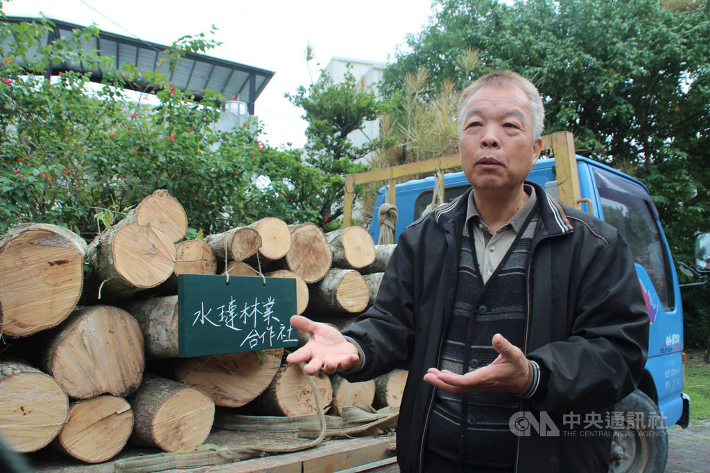 花蓮二代林農吳茂坤在壽豐鄉水璉社區向政府承租的林地因造林政策,部分用地砍掉果樹投入造林,近年來經花蓮林管處輔導,作為段木香菇培植地,種香菇、賣楓香段木,段木以目前市價,一噸可賣到新台幣5500元。中央社記者張祈攝 108年12月5日