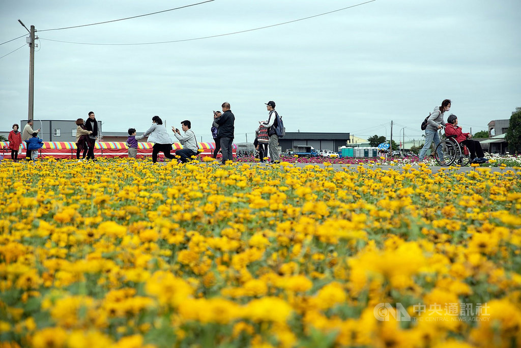 2019嘉義市花海節7日展開,面積14公頃的壯麗花海景色吸睛,讓參觀民眾流連忘返,現場並安排多元活動,熱鬧不已。(嘉義市政府提供)中央社記者黃國芳傳真 108年12月7日