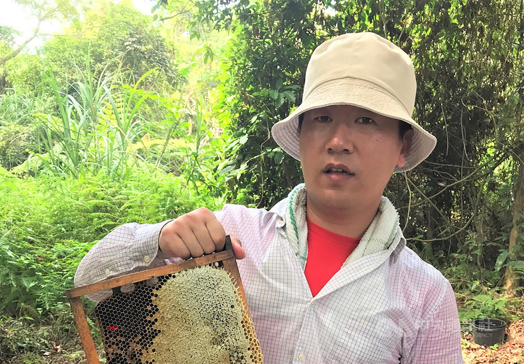 原本在科技業擔任研發工程師的陳冠樺(圖),因不捨母親獨自一人管理蜜蜂養殖事業,毅然決然放下百萬年薪,與母親一同接手由祖父傳承下來的養蜂事業。(新北市農業局提供)中央社記者王鴻國傳真 108年12月9日