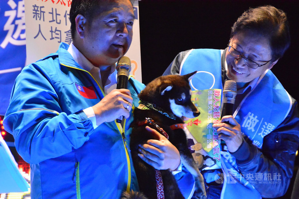 國民黨新北市第10選區立委參選人林金結(左)13日晚間在土城舉辦造勢活動,抱起高人氣韓家犬「黑米魯」造勢,讓在場的副總統候選人張善政(右)也忍不住多看兩眼。中央社記者黃旭昇新北市攝 108年12月13日