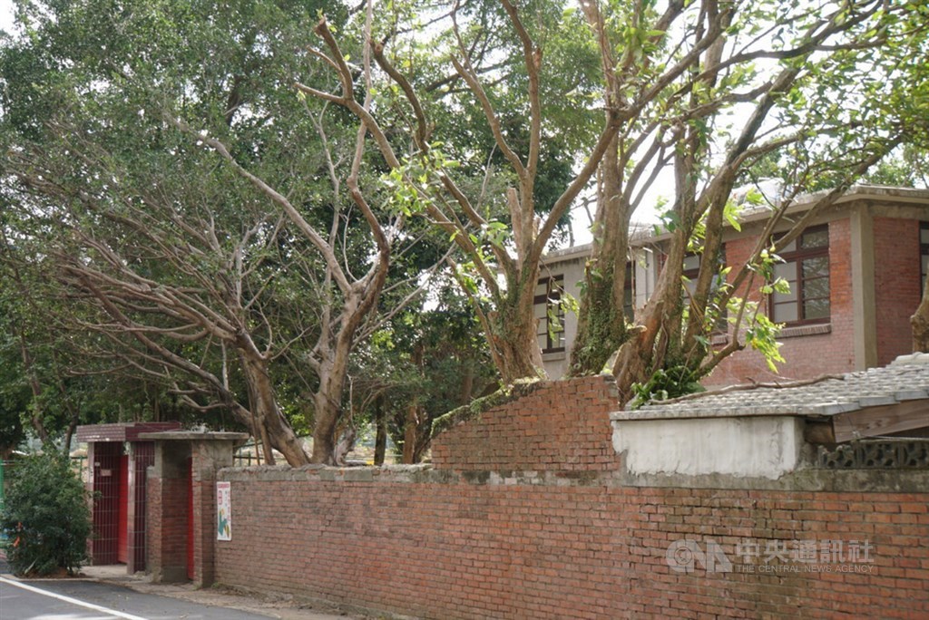 觀察桃園市選情,不能忘記桃園最重要的兩大族群,眷村票與客家票;圖為桃園市歷史建築太武新村,目前正進行景觀修復再利用工程。中央社記者王揚宇攝 108年12月14日