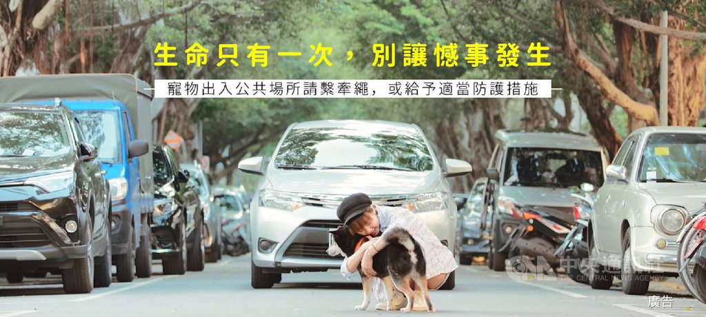台北市動保處15日表示,依「台北市動物保護自治條例」規定,飼主攜帶寵物到公眾場所應使用牽繩等適當防護措施,但宣導迄今仍有飼主無視規定,12月起啟動假日稽查專案,全力守護毛小孩的平安。(台北市動保處提供)中央社記者黃麗芸傳真 108年12月15日