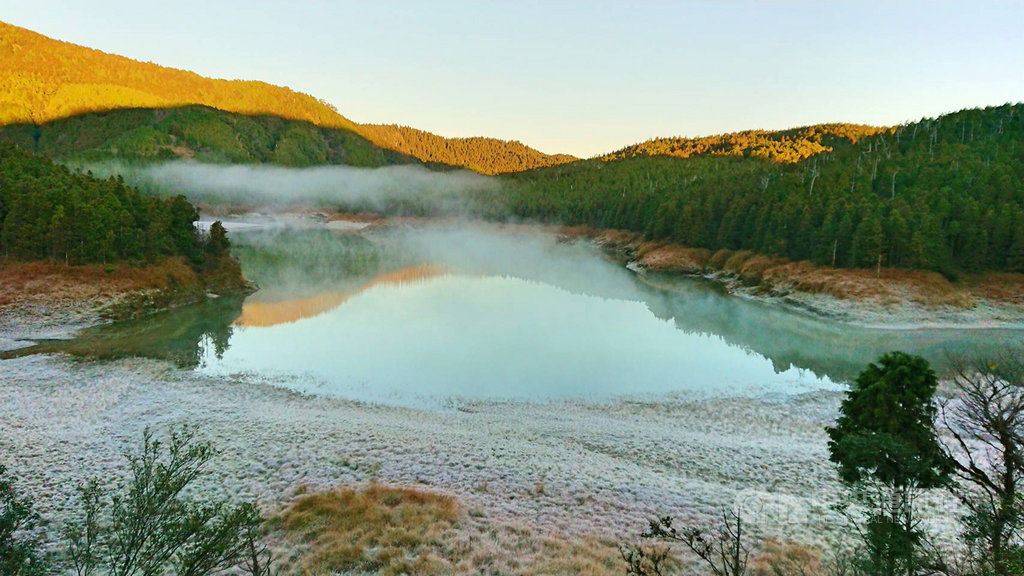 宜蘭太平山國家森林遊樂區翠峰湖畔,16日清晨氣溫雖沒降到冰點,但因無風擾動、水氣充足,加上輻射冷卻效應影響,一度結霜。(林務局提供)中央社記者沈如峰宜蘭縣傳真 108年12月16日