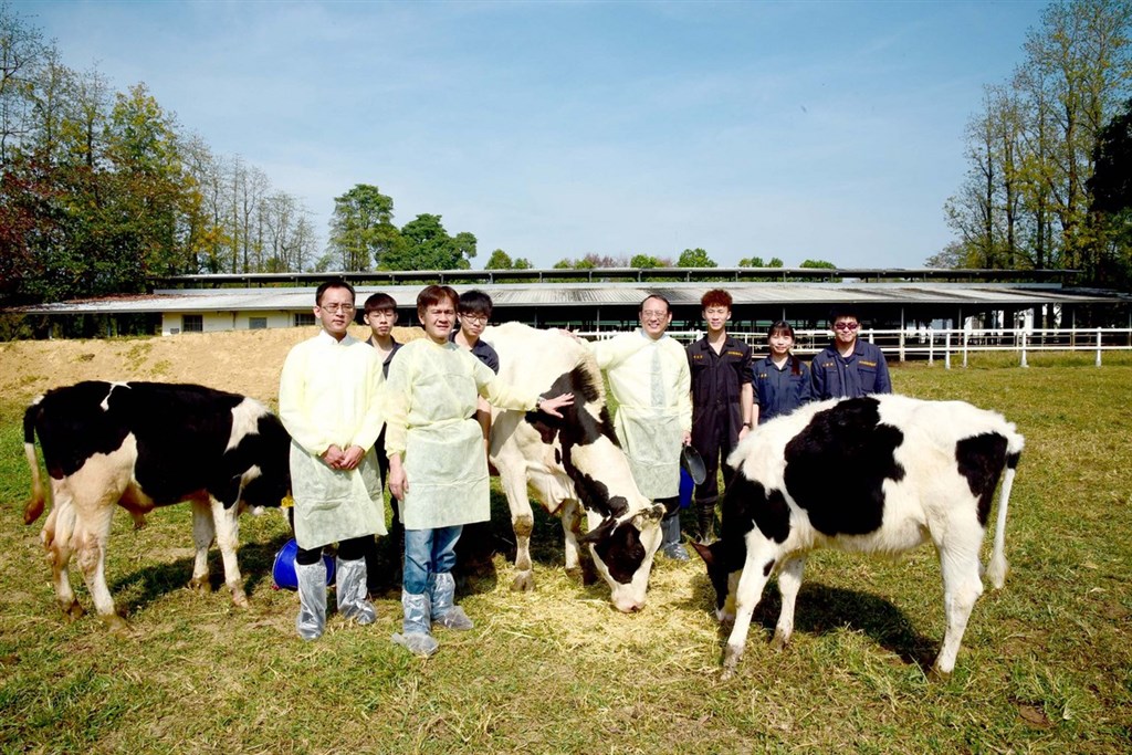 屏東科技大學動物科學與畜產系教授沈朋志(前左2)率領學生團隊,利用新興生殖科技「紡綞體轉置(Spindle Transfer,ST)技術」,成功誕生4隻黃牛與荷蘭牛細胞轉置的ST牛,第1隻已4歲。(屏科大提供)中央社記者郭芷瑄傳真 108年12月17日
