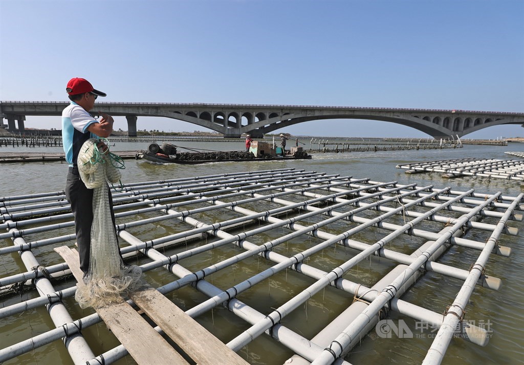 台61線西濱快速公路台南七股溪橋施工兼顧生態及減碳,日前獲108年度全球道路成就獎的環境減輕類首獎,台灣道路工程減碳成果首次躍上國際舞台。中央社記者裴禛攝 108年12月26日