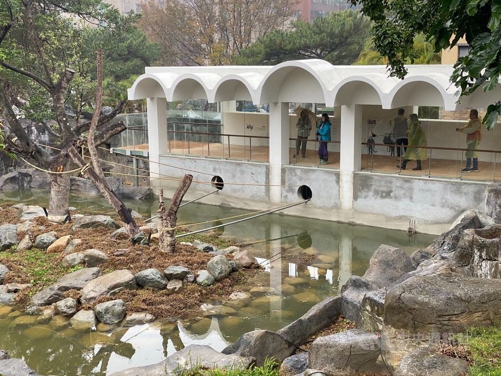 新竹市立動物園完成整修工程,28日將重新開園,新園區內沒有圍籬的開放式猴島,可讓民眾近距離觀察猴群可愛模樣。中央社記者魯鋼駿攝 108年12月27日
