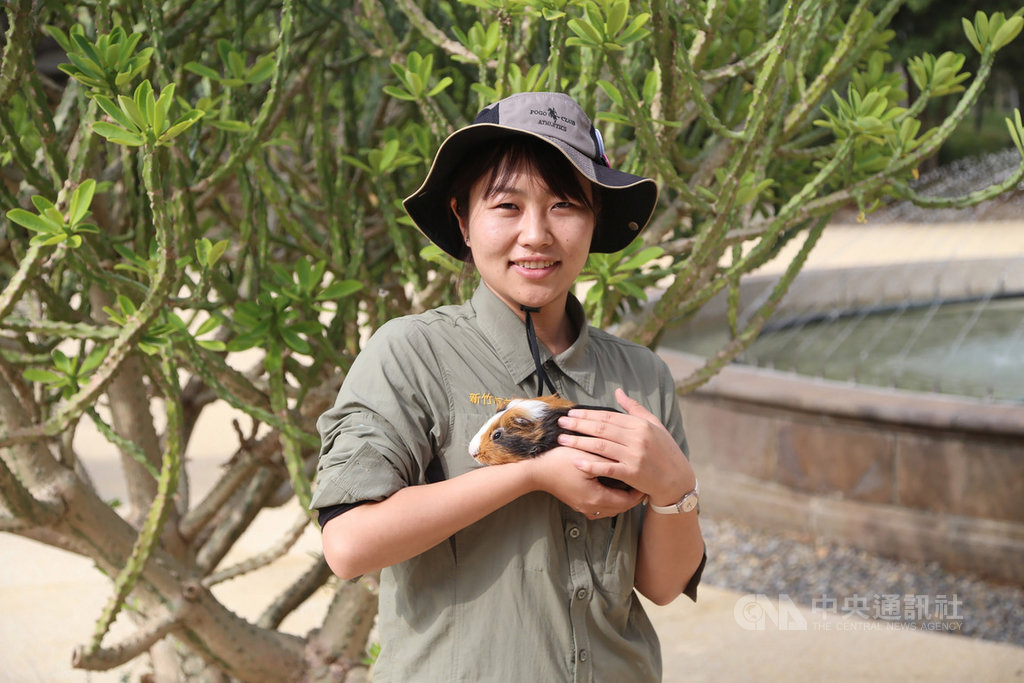 來自日本的岡元友實子(Yumi)從小就喜歡動物,曾在日本上野動物園任研究員,是新竹市立動物園首名外國員工,也跟著最愛的動物們一起見證園區蛻變。中央社記者魯鋼駿攝 108年12月27日