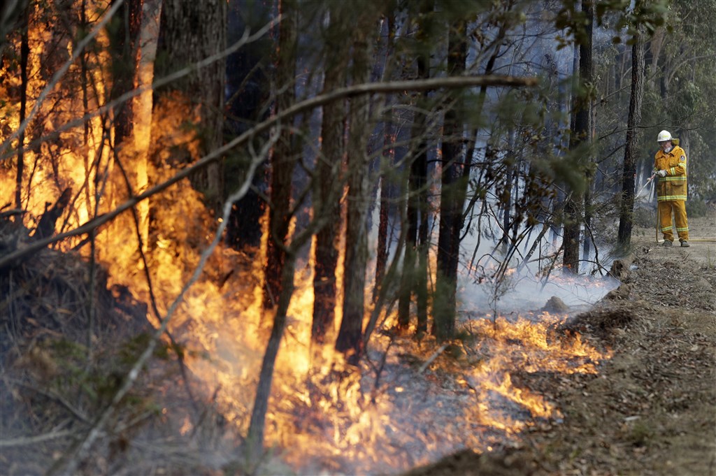 澳洲森林大火釀成全國性災難，造成26人罹難、數以千計的民眾無家可歸，還有逾10億動物死亡或受傷。（美聯社）