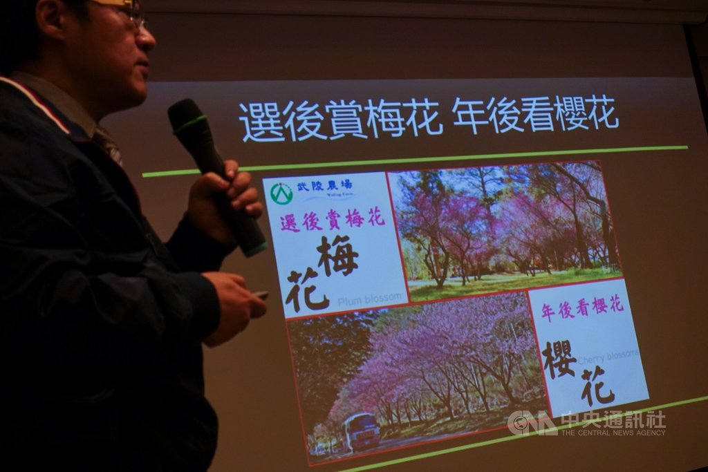 「武陵農場櫻花季交通疏運」記者會14日在交通部舉行,公路總局與武陵農場宣布交通管制自2月8日到2月29日,共22天。中央社記者吳家昇攝 109年1月14日