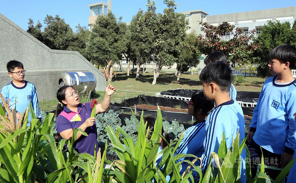 嘉義縣布袋國中在校園開發農地,邀請經營農場的林美珠(左2)協助開闢,並指導學生整地、栽種各類有機蔬菜。(嘉義縣政府提供)中央社記者黃國芳傳真 109年1月14日