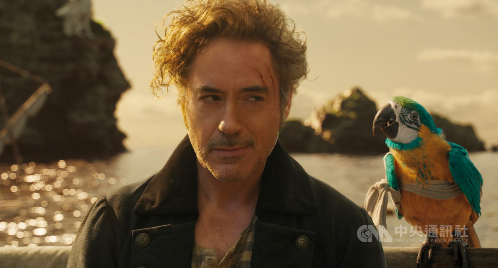 影星小勞勃道尼(Robert Downey Jr.)(左)在新片「杜立德」中,飾演能與動物溝通的名醫杜立德,是家喻戶曉的經典兒童文學角色,而女星艾瑪湯普遜(Emma Thompson)則為杜立德的顧問兼知己鸚鵡配音。(UIP提供)中央社記者洪健倫傳真 109年1月16日