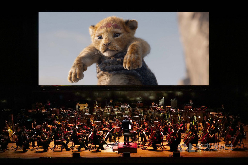 迪士尼「獅子王」電影交響音樂會將首度來台演出,3月起在高雄衛武營歌劇院、台北國家音樂廳與台中國家歌劇院接連登場,音樂會將播放擬真版電影「獅子王」搭配現場交響樂團、唱團與歌手一起演出,讓觀眾感受非洲草原的大地震撼。(牛耳藝術提供)中央社記者趙靜瑜傳真 109年1月17日