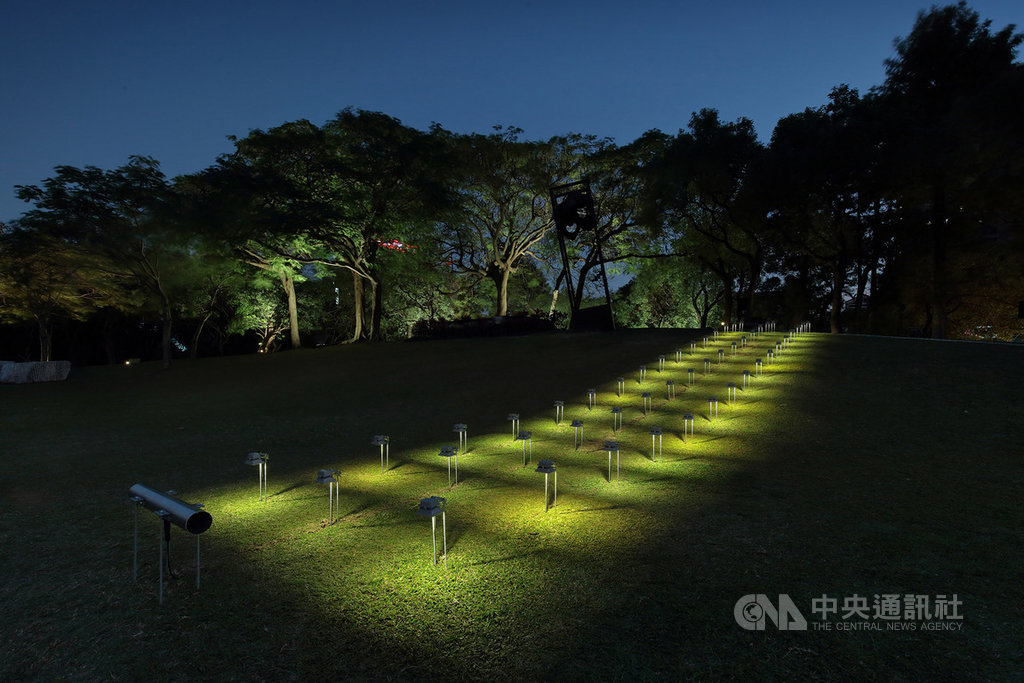 國立台灣美術館舉辦「光之書寫—2020台灣國際光影藝術節」,18日晚間正式開展,邀請台灣聲光藝術家姚仲涵為活動揭開序幕。圖為姚仲涵作品「草與樹」。(國美館提供)中央社記者郝雪卿傳真 109年1月18日