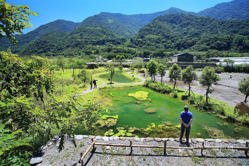 農委會水土保持局南投分局完成「仁愛鄉南豐社區綠色友善廊道及休憩空間營造工程」,透過廣植蜜源植物和營造水域生態棲地,吸引蝴蝶、鳥類、螃蟹等現身。(水保局南投分局提供)中央社記者蕭博陽南投縣傳真 109年1月19日
