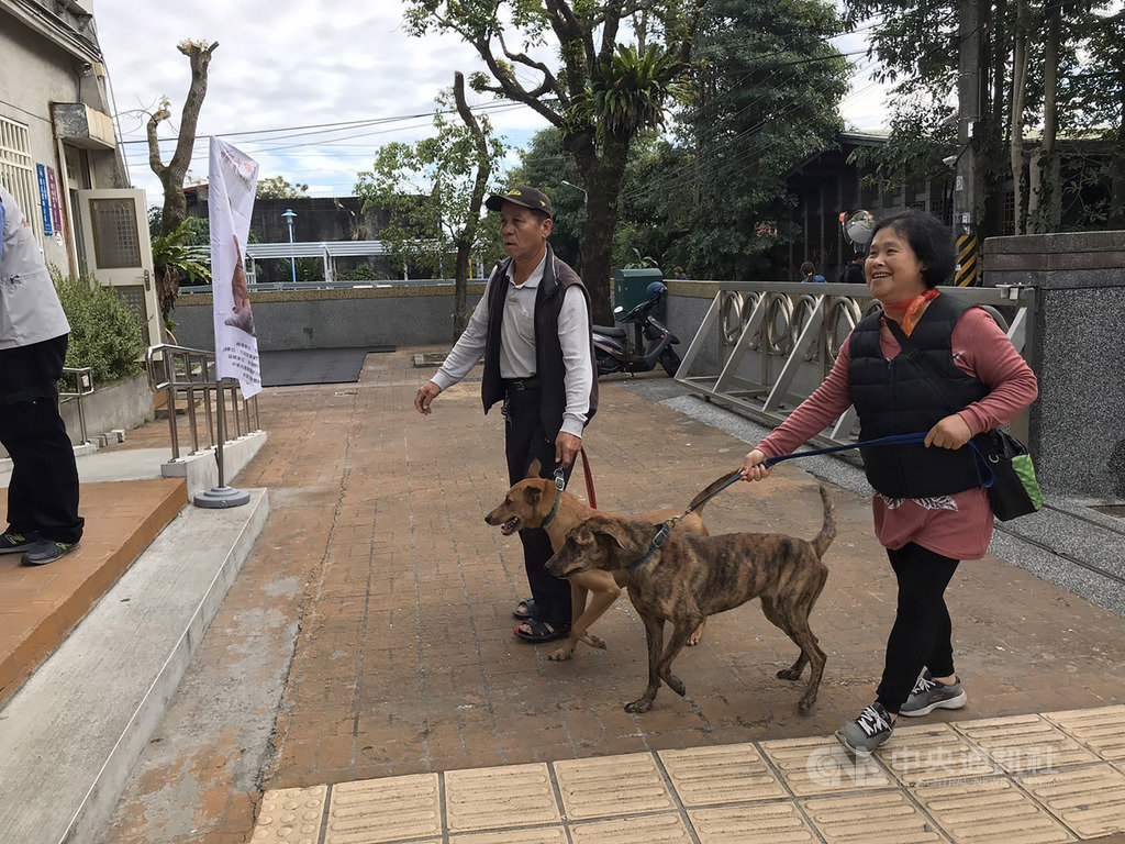 花蓮市民宅日前發現的白鼻心確診感染狂犬病,花蓮縣政府22日到白鼻心現蹤社區免費施打疫苗,當地民眾踴躍帶著家中寵物前往注射狂犬病疫苗。中央社記者張祈攝 109年1月22日