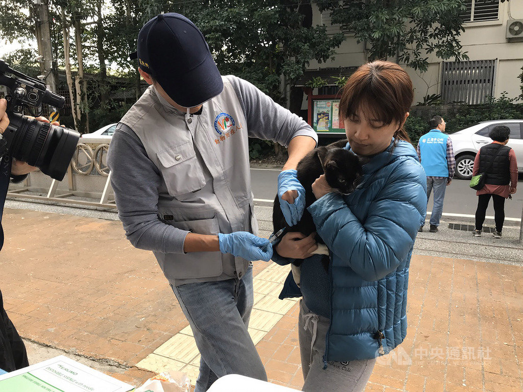 花蓮市民宅日前發現的白鼻心確診感染狂犬病,花蓮縣政府22日到白鼻心現蹤社區免費施打疫苗。中央社記者張祈攝 109年1月22日