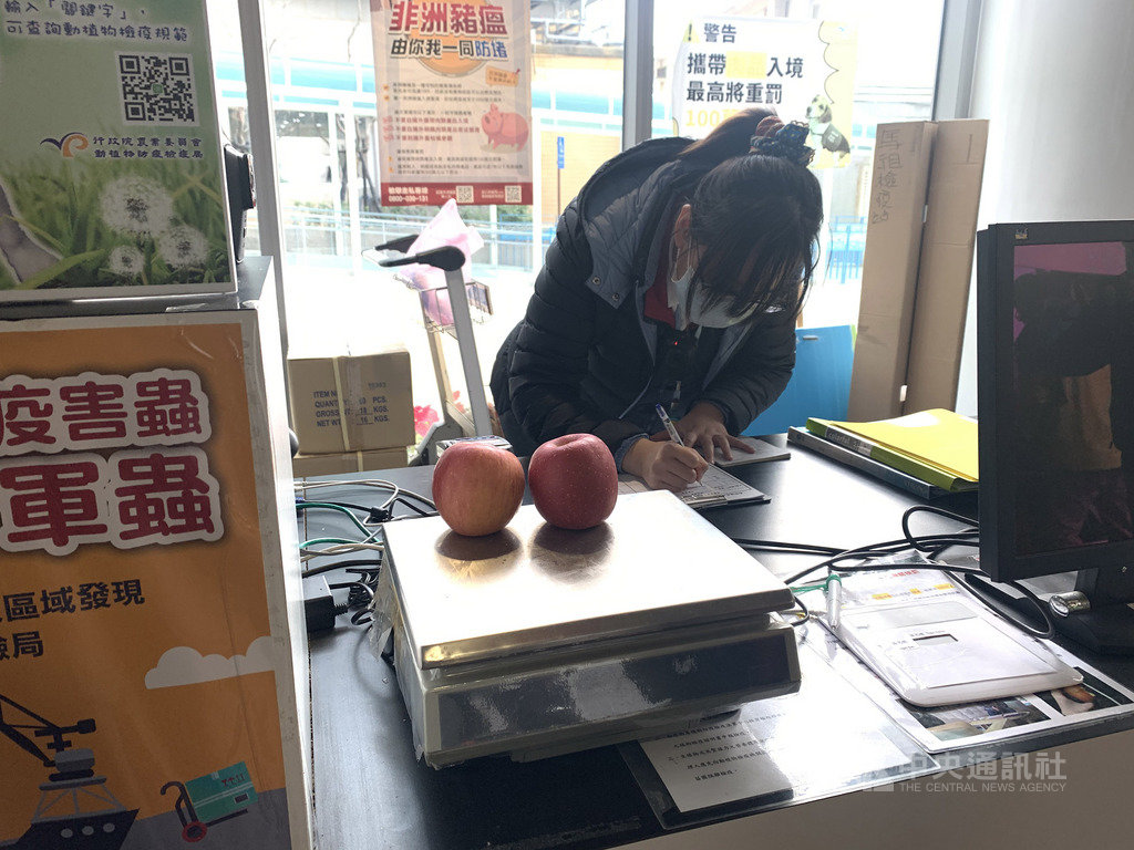 南竿一民眾21日下午搭乘小三通黃岐航線入境馬祖,被查獲背包內裝有2顆新鮮蘋果,遭罰新台幣3000元。(馬祖檢疫站提供)中央社 109年1月22日