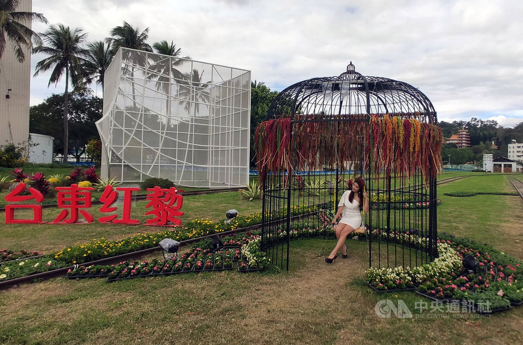 台東市舊火車站變身浪漫的紅藜花園,2個籠型紅藜主題裝置藝術讓民眾能互動拍照。中央社記者盧太城台東攝 109年1月22日