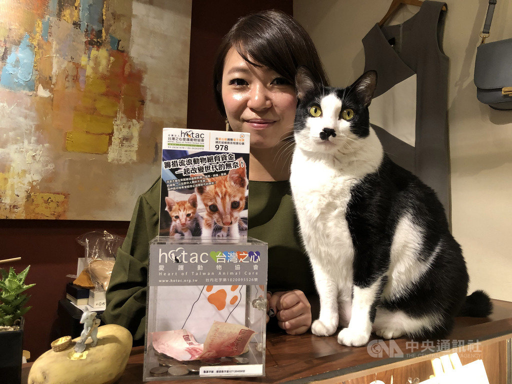 洪曉涵與愛護動物協會合作,籌資資金進行流浪貓節育手術,並推廣「認養代替購買」,希望減少浪浪悲歌。中央社記者趙麗妍攝 109年1月25日