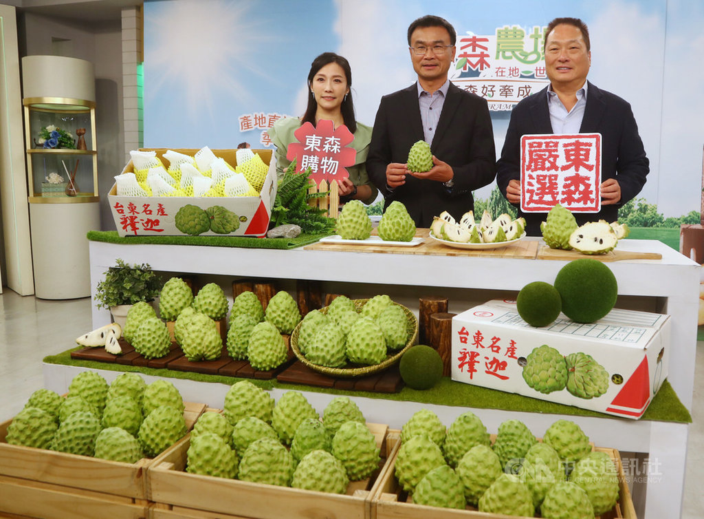 台灣農產品出口受武漢肺炎疫情影響,農委會與電視購物台合作,由主委陳吉仲(中)親自上陣推銷台東產的優質鳳梨釋迦,東森集團總裁王令麟(右)也到場表達支持。中央社記者王騰毅攝 109年2月13日