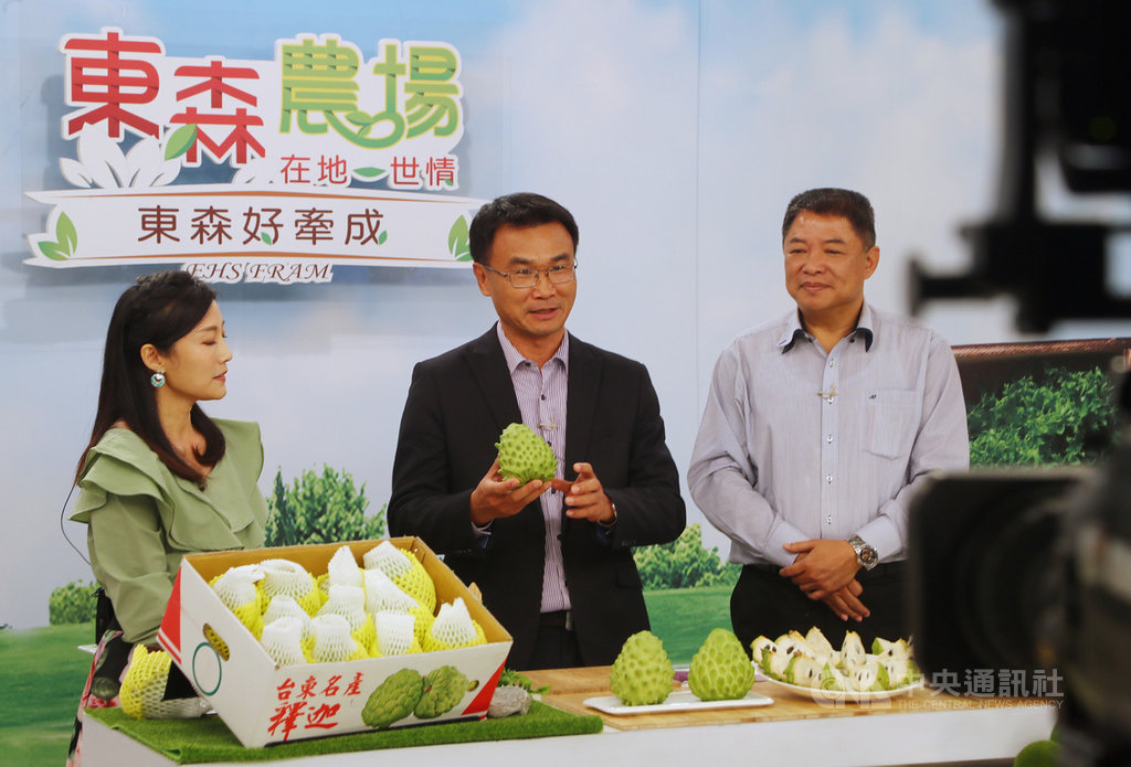 台灣農產品出口受武漢肺炎疫情影響,農委會主委陳吉仲(中)為了推銷國內農產品,13日親自上電視購物台推銷台東的鳳梨釋迦,並呼籲民眾多多選購國內優質農產。中央社記者王騰毅攝 109年2月13日