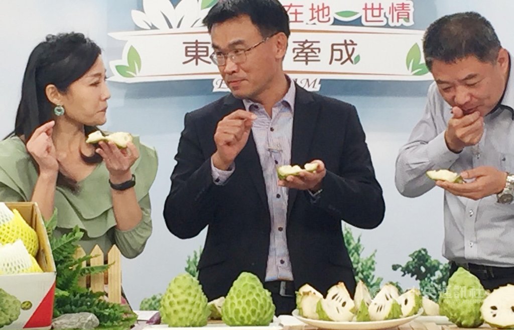 農委會主委陳吉仲(中)、台東地區農會總幹事李建通(右)13日到購物台拍賣鳳梨釋迦,呼籲民眾支持在地農業。中央社記者楊淑閔攝 109年2月13日