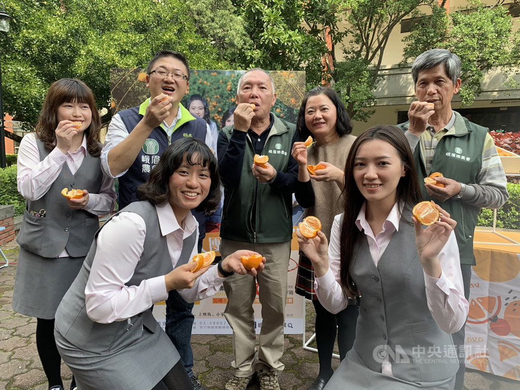 新竹縣峨眉鄉桶柑受武漢肺炎疫情衝擊,滯銷價跌,峨眉鄉農會特別自拍影片促銷,14日發表,盼消費者踴躍訂購,助果農度難關。中央社記者郭宣彣攝 109年2月14日