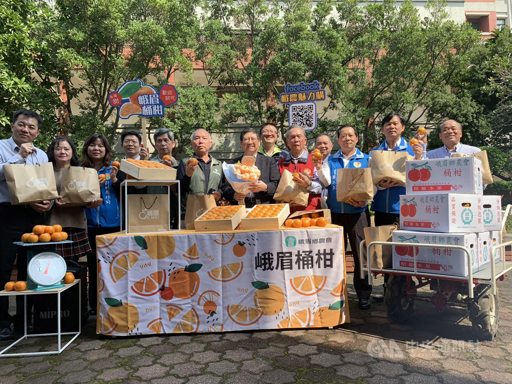 新竹縣峨眉鄉桶柑種植面積超過600公頃,果型飽滿度、水分及酸甜度佳,但近期武漢肺炎影響銷量,新竹縣府14日與峨眉鄉農會為桶柑果農辦促銷活動,歡迎民眾踴躍購買。中央社記者郭宣彣攝 109年2月14日