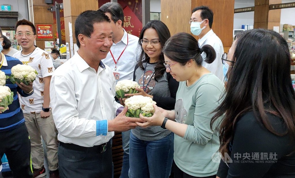適逢西洋情人節,台東市長張國洲(前左)14日在市公所分送女性員工每人1顆花椰菜。中央社記者盧太城台東攝 109年2月14日
