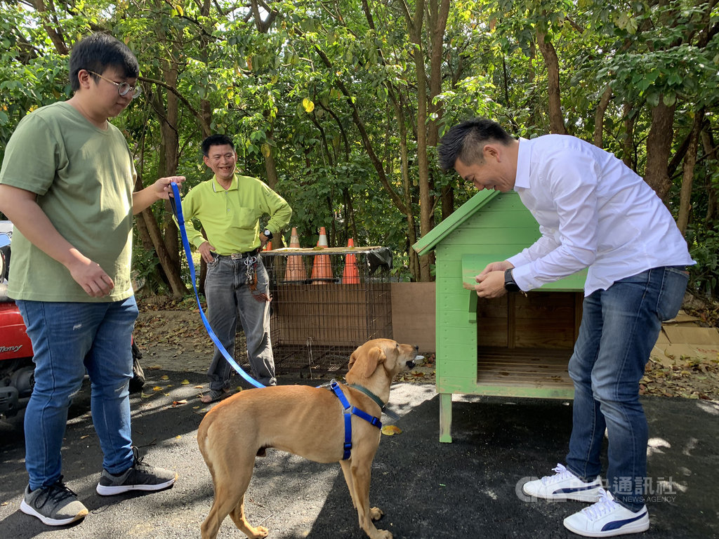 台南山上花園水道博物館收編一隻米克斯流浪犬,15日決定命名為「園長」,館方表示,園長將兼負博物館員工區的守望工作,日後再視情況將牠送到園區與遊客互動。(台南山上花園水道博物館提供)中央社記者張榮祥台南傳真 109年2月15日