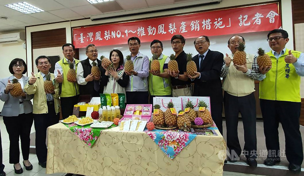 屏東縣的鳳梨栽種面積達2314公頃,全國最大,產期從2月開始,3月起高屏地區鳳梨將進入盛產期,一路持續到5月,農委會主委陳吉仲(前左6)15日在屏東宣布,將外銷、直銷、加工3箭齊發,穩住今年鳳梨價格。中央社記者郭芷瑄攝 109年2月15日