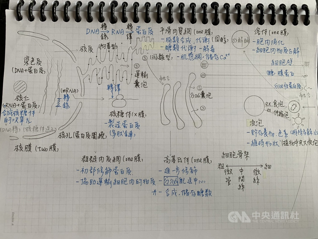 學測成績24日公布,宜蘭高中學生林明葳拿下5科滿級分,他的筆記本除了字跡工整精美,還有精美的自製圖表,連導師都感到驚訝。(林明葳提供)中央社記者沈如峰宜蘭傳真 109年2月24日
