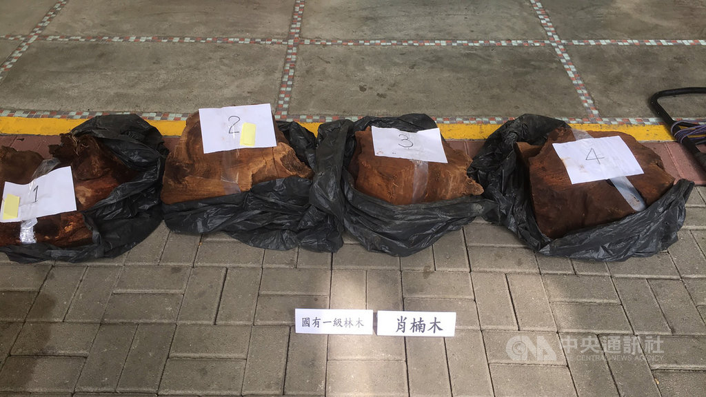 馬姓男子23日在宜蘭大同明池附近涉嫌盜伐林木,警方與林務局獲報後前往攔截圍捕,起出4塊珍貴台灣肖楠木,總重量78.02公斤,市價約新台幣15萬元,專案小組將犯嫌依森林法移送法辦。(警方提供)中央社記者沈如峰宜蘭傳真 109年2月24日