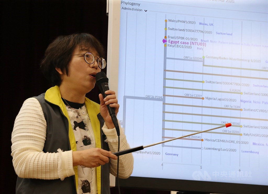 台灣第39案武漢肺炎確診感染源引發各界討論,檢驗專家葉秀慧(圖)8日表示,案39病毒基因體定序與台灣病毒序列差距頗大,而與歐洲及義大利等病毒同枝,可研判案39病毒不是來自台灣,而是在埃及受到歐洲的病毒株感染。中央社記者郭日曉攝 109年3月8日