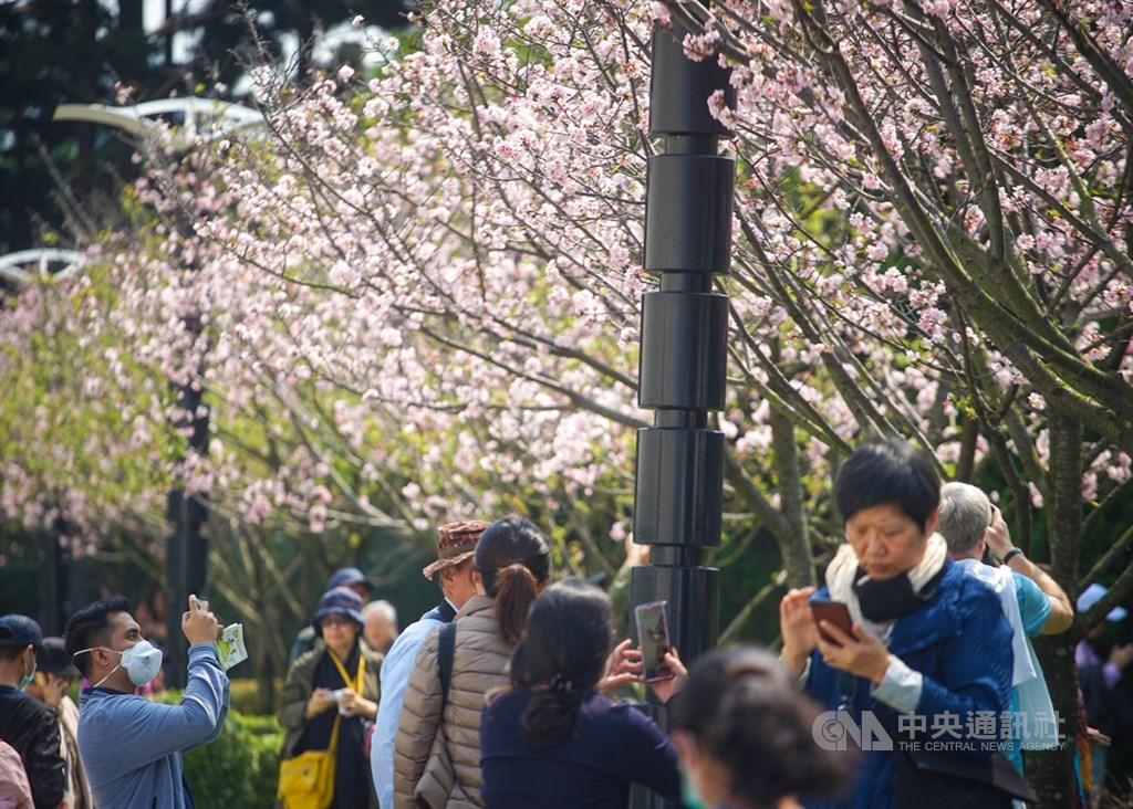 氣象局8日表示,清晨各地低溫18至22度,白天高溫普遍在25度以上,中南部可達28至30度。中央社記者裴禛攝 109年3月7日
