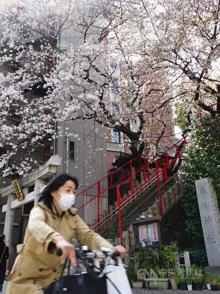 2019冠狀病毒疾病(COVID-19,武漢肺炎)疫情擴散,東京都近日新增多人確診,在日本各都道府縣中最多。中央社記者楊明珠東京攝 109年3月26日