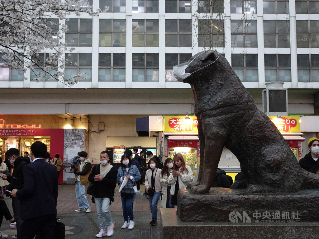 東京武漢肺炎確診者達299人,鬧區澀谷知名十字路口仍有大批人潮,許多人戴口罩,就連知名的忠犬小八塑像也被戴上口罩。中央社記者楊明珠東京攝 109年3月27日