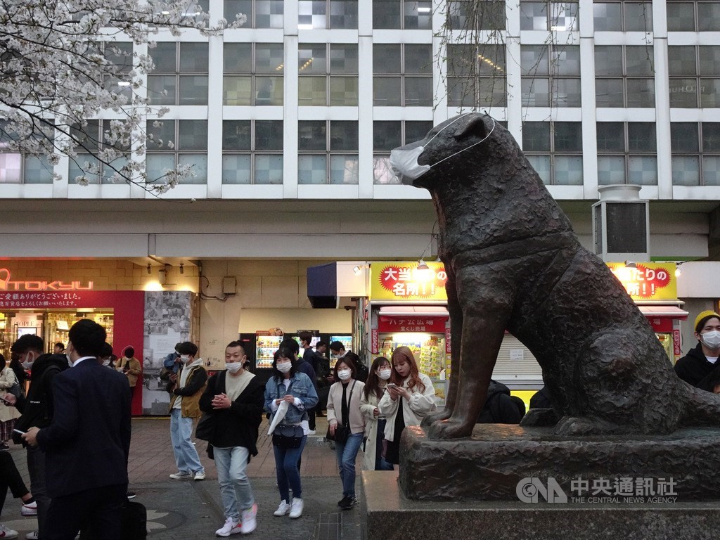 東京武漢肺炎確診者達299人,鬧區澀谷知名十字路口仍有大批人潮,許多人戴口罩,就連知名的忠犬小八塑像也被戴上口罩。中央社記者楊明珠東京攝 109年3月27日