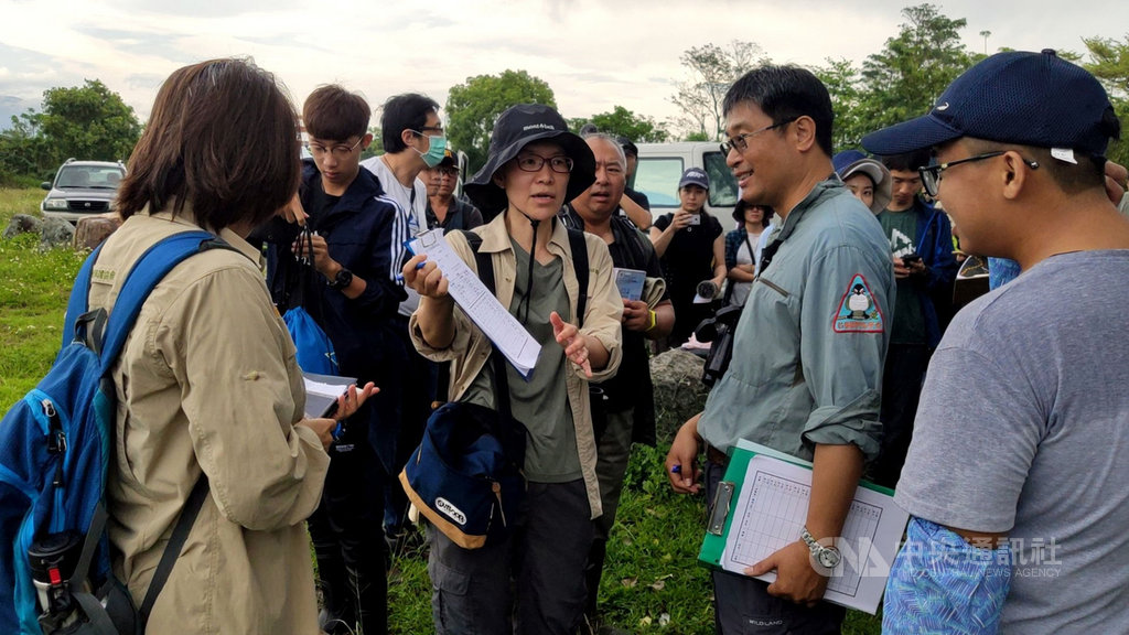 荒野保護協會台東分會28日調查台東知本光電園區預定地的環頸雉數量,總共記錄到163隻,比108年多了69隻。中央社記者盧太城台東攝 109年3月28日