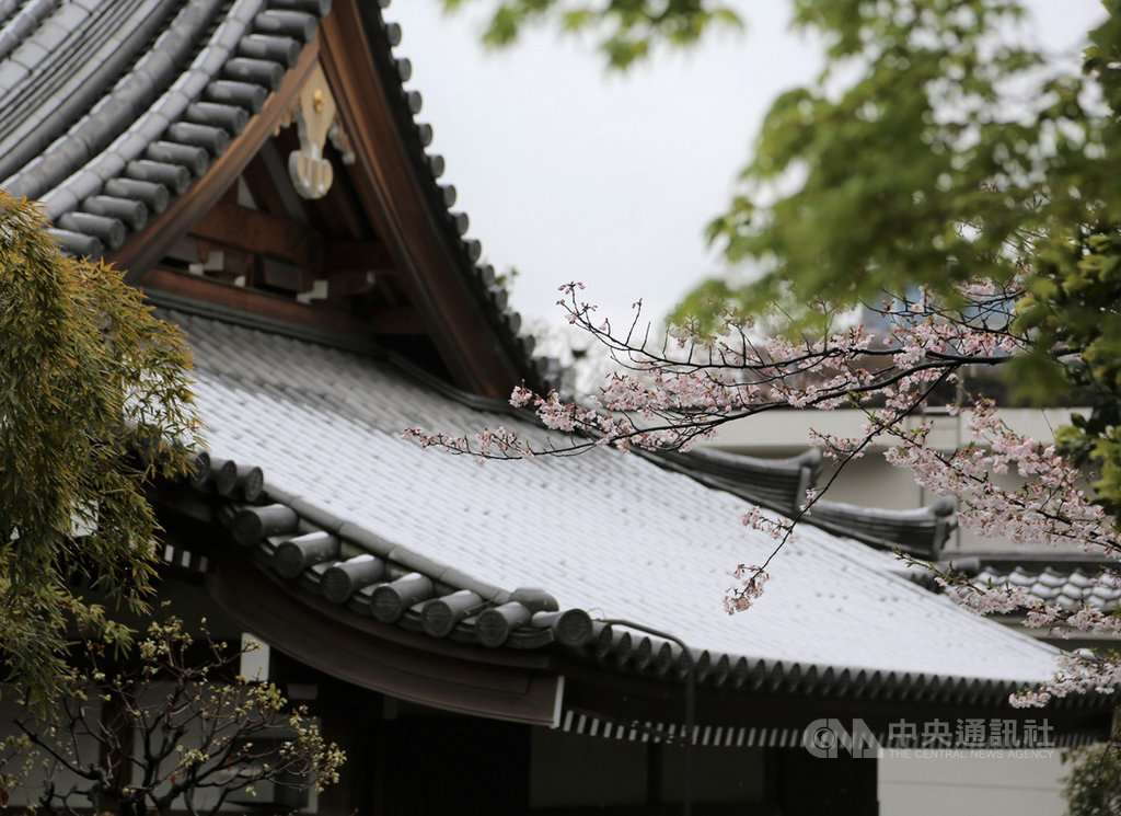 低氣壓在日本本州南岸往東前進,關東甲信的廣範圍地區28日至29日下雪,關東山區與平地下雪,29日東京市中心、橫濱市觀測到攝氏0.7度低溫。東京市中心觀測到積雪厚度一公分。中央社記者楊明珠東京攝 109年3月29日