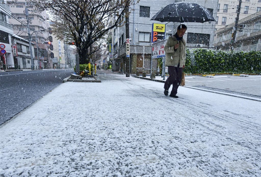 東京都29日降雪到中午12時止已積雪1公分,是時隔51年再度出現櫻花滿開後還積雪達1公分,氣象新聞公司表示情況相當罕見。(共同社提供)