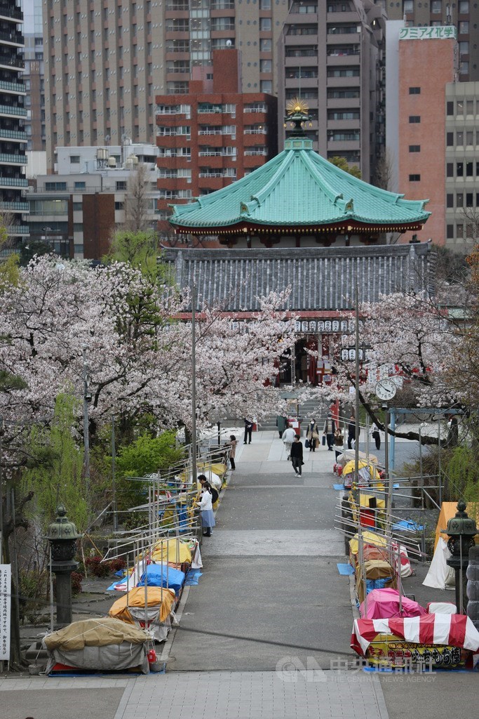 東京都政府憂武漢肺炎疫情擴大,呼籲民眾本週末盡量不要外出。賞櫻景點上野公園及周邊顯得冷清。中央社記者楊明珠東京攝 109年3月28日