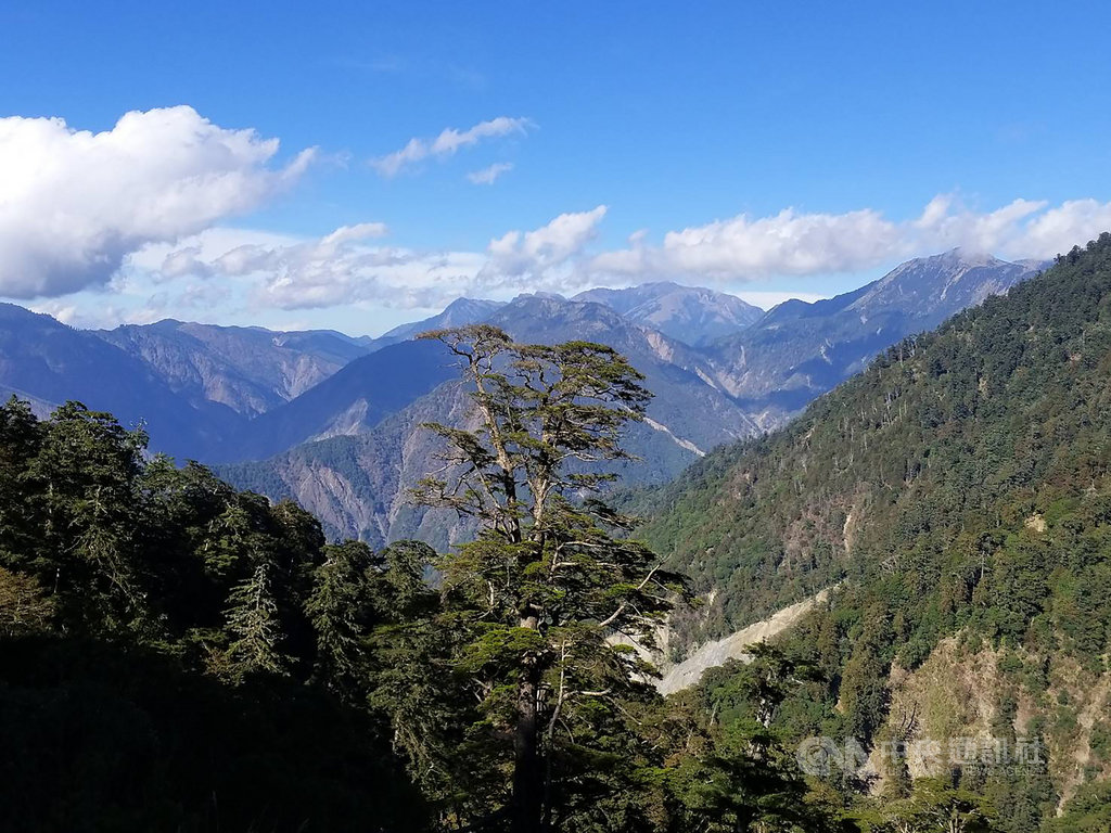 台20線南橫公路梅山口至天池自今年3月17日推行新制度,針對台20臨105線的南橫公路,梅山口至天池段自每週二、四道路管制通行。因應清明連假,公路總局第三區養護工程處表示,取消4月2日管制禁令,讓遊客分流休憩。(甲仙工務段提供)中央社記者王淑芬傳真 109年3月30日