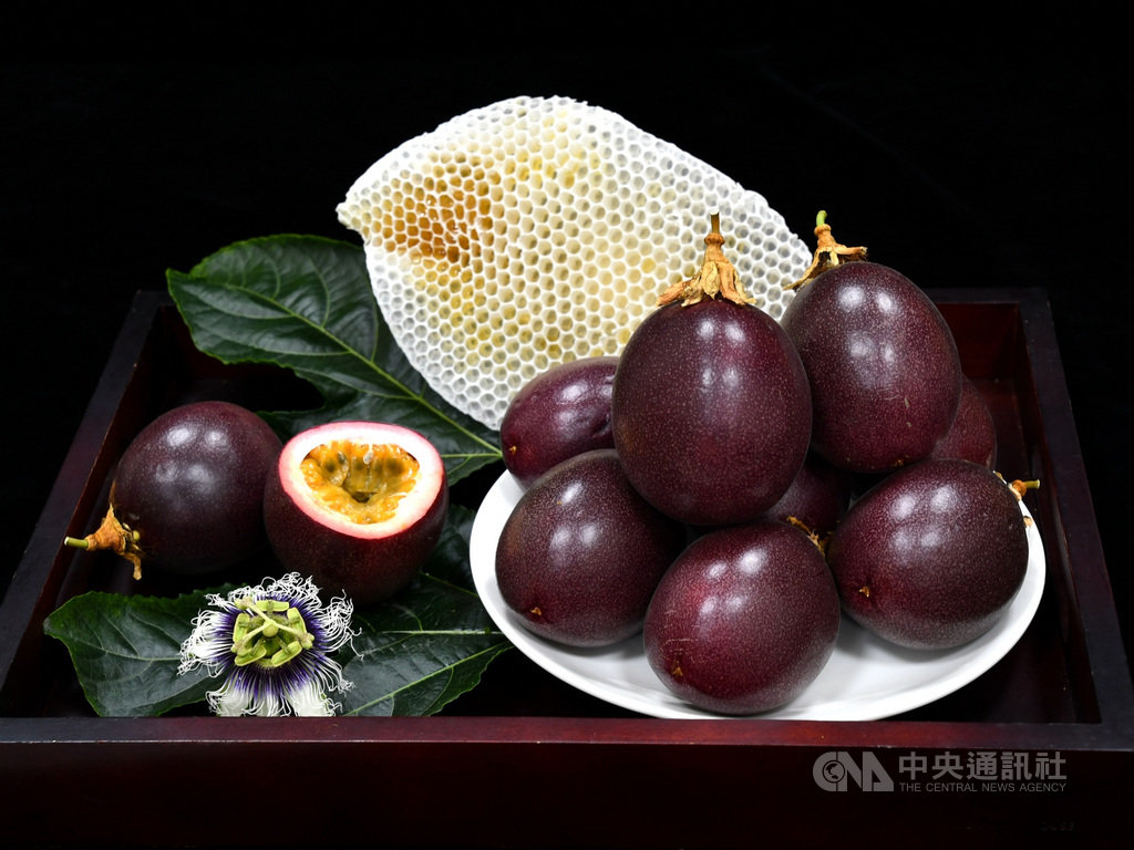 高屏地區的百香果目前已上市,春季早收百香果產期為2月至6月,栽種時運用高屏地區冬季溫暖少雨的特色氣候,成功克服雨季果實好發的疫病,讓高屏區百香果品質穩定。(高雄區農改場提供)中央社記者郭芷瑄傳真 109年3月31日