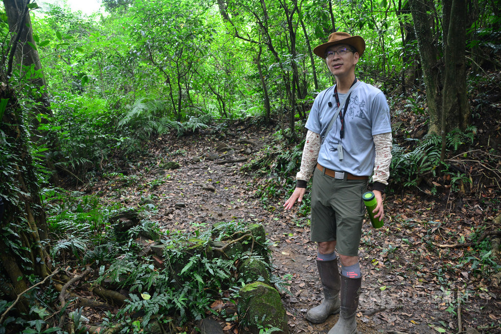 新北市觀旅局31日指出,古道行可讓遊客認識台灣這塊土地,觀旅局特別深化遊客認識淡蘭古道,也合力與在地聚落共同分享淡蘭古道魅力,邀請民眾防疫期間多走步道,感受人文歷史也能運動保健康。圖為2019年7月28日資料畫面。中央社記者黃旭昇新北市攝 109年3月31日
