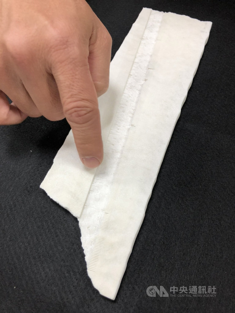 台大地質系國家講座教授沈川洲以台灣墾丁採集到的現生珊瑚說明,可以看到珊瑚採樣的小標本厚度僅0.6公釐。中央社記者蘇思云攝 109年3月31日