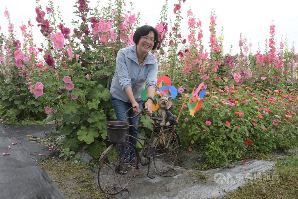 彰化縣長王惠美2日前往員林市參加蜀葵花季活動,跟著民眾一起進入花田賞花,呼籲民眾利用連假親近大自然,有益身心。(彰化縣政府提供)中央社記者吳哲豪傳真 109年4月2日