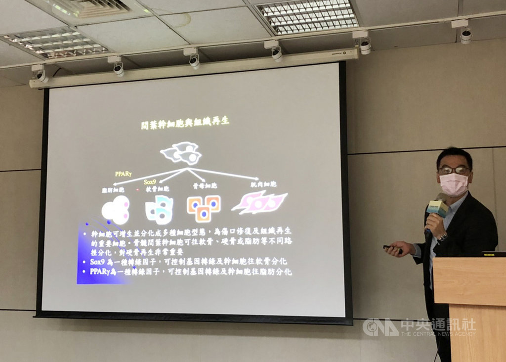 清華大學化工系講座教授胡育誠9日解釋,人體幹細胞可以增生並分化成多種細胞型態,以間葉幹細胞為例,可以活化轉錄因子Sox9,控制基因轉錄以及促進幹細胞往軟骨分化。中央社記者蘇思云攝 109年4月9日