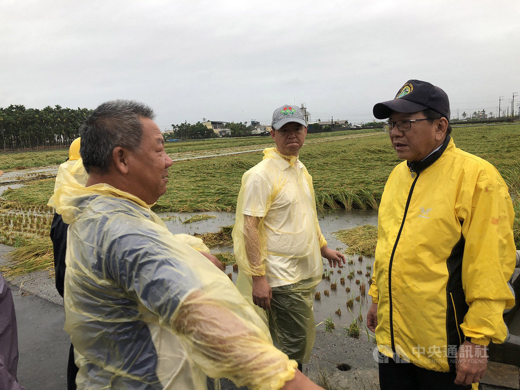 屏東縣竹田鄉、南州鄉和新園鄉等稻米產地遭受豪雨侵襲,22日都傳出水稻倒伏情形,屏東縣長潘孟安(右)前往視察新園鄉農損狀況,聽取農民心聲。(屏東縣政府提供)中央社記者郭芷瑄傳真 109年5月22日